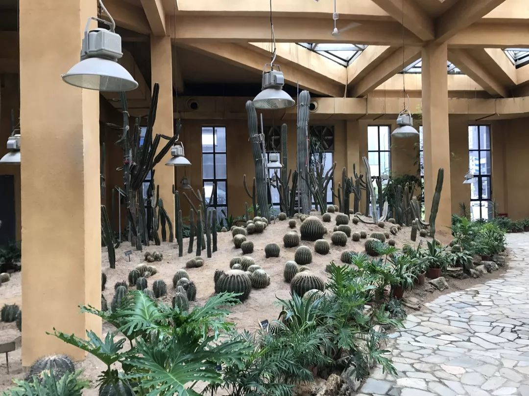 1650349925201977.png image.png