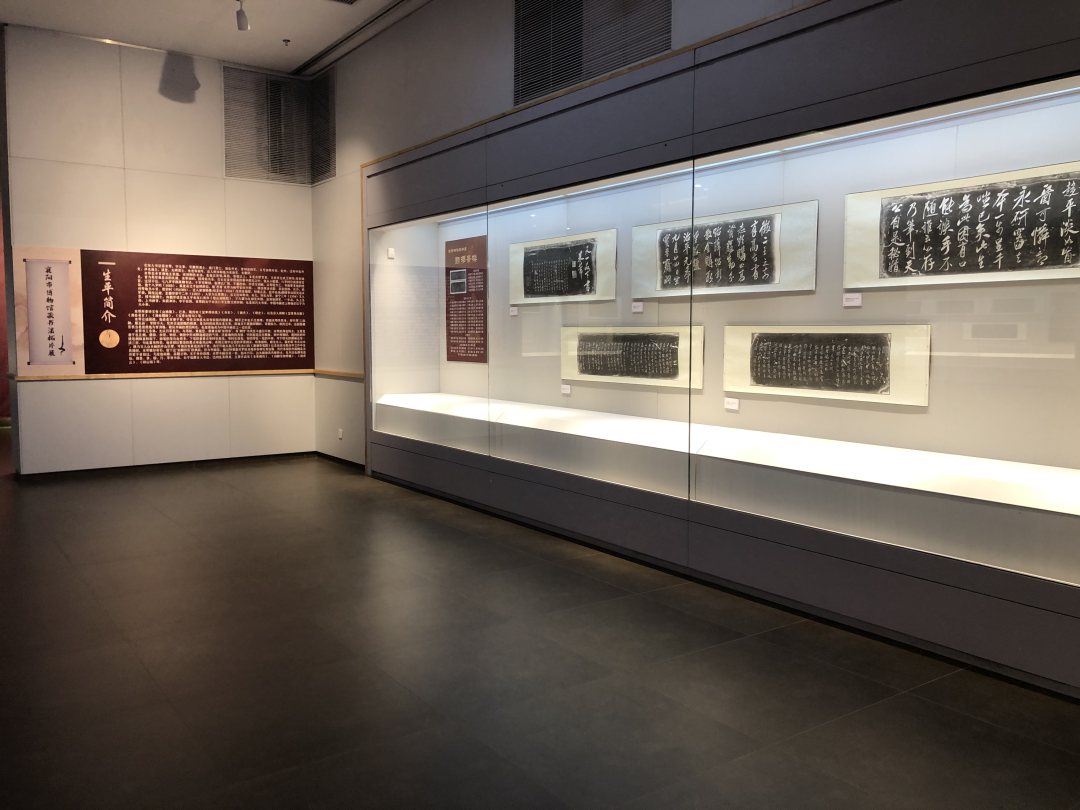 1667531404111598.png 11.png