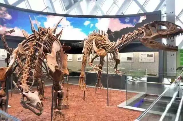 1670377090467352.jpg 640 (5).jpg