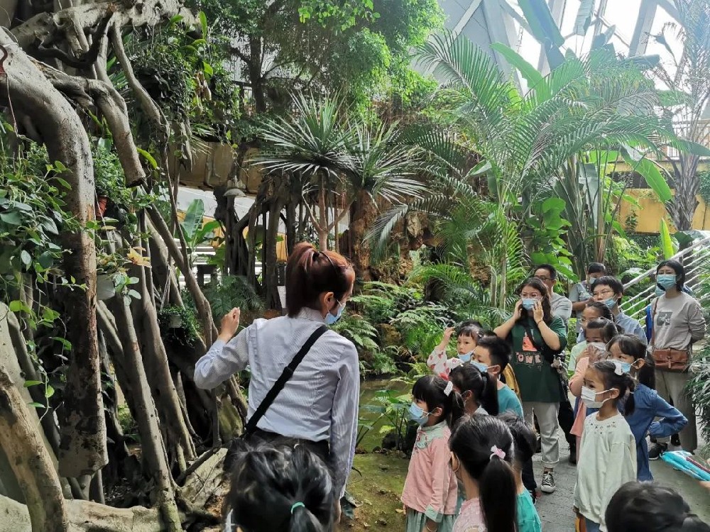 1670484521316108.jpg 640 (12).jpg