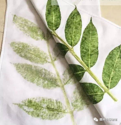 1670553554104585.png 640 (1).png