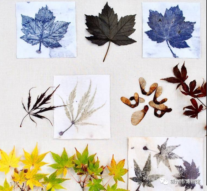 1670553563841716.png 640 (2).png