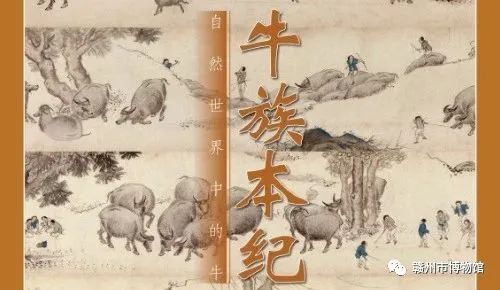 1670982326444138.jpg 640 (6).jpg