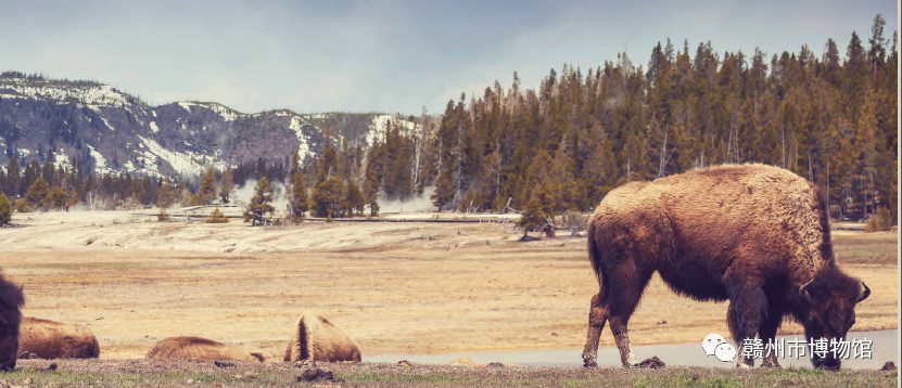 1670982358859395.png 640 (8).png